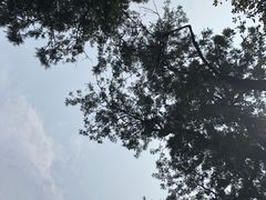 -四川大学(望江校区)