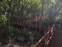 -大岭沟猕猴桃谷风景区
