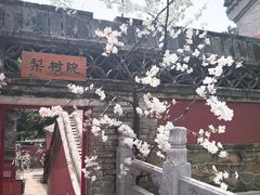 -潭柘寺景区