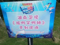 -圣爵菲斯大酒店(长沙世界之窗店)