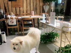 -肆兮眼镜·蔡司·徕卡战略合作店(大坪店)