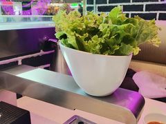 -韩时烤肉(丰科万达广场店)