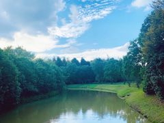 -上海海湾国家森林公园