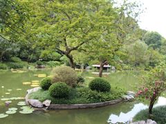 -云溪植物园