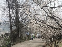 -樱桃山旅游景区