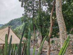 -MOJ coffee(瓯海泽雅水碓坑店)