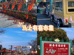 -荷兰花海