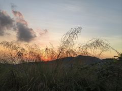 -阳台山森林公园