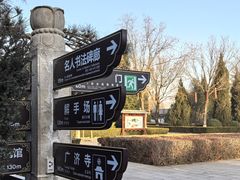 -大槐树寻根祭祖园