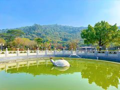 -顺峰山公园