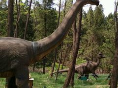 -原山国家森林公园