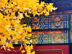 -红螺寺