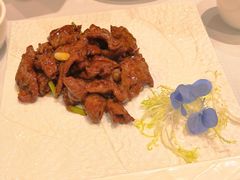 -新雅粤菜馆(南京东路店)