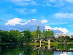 -尚贤河湿地