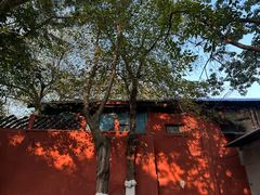 -星巴克臻选(成都宽窄巷子店)