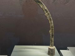 -良渚博物院