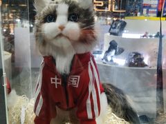 -冒椒火辣(奎星楼街店)