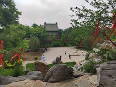 -荣国府