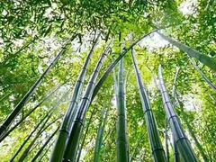 -竹泉村旅游度假区