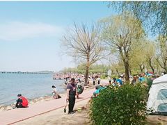 -丁香湖公园