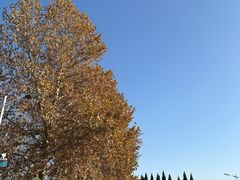 -螺小胖·柳州螺蛳粉(南稍门店)