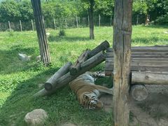 -西安秦岭野生动物园