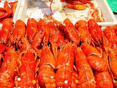 -初色海鲜自助(万丰路店)