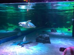 -暹罗海洋世界