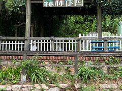 -青青世界