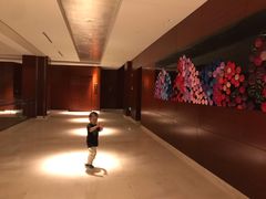 -苏州金鸡湖大酒店