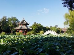 -莲池书院博物馆