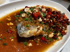 -杨氏青龙虾·羊蝎子(金盛路总店)