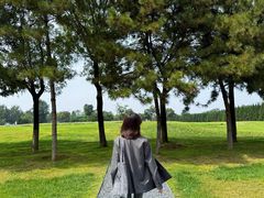 -汉长安城未央宫国家考古遗址公园