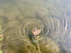 -宁波九龙湖开元度假村