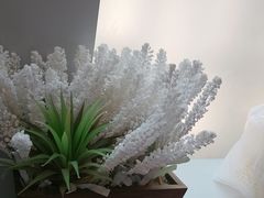 -青山上品咖啡·日式法兰绒手冲(高岛屋百货店)