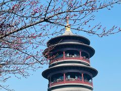 -圆通寺