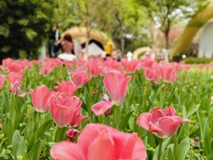 -成都市文化公园