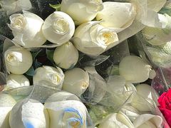 -循礼门鲜花花市(武汉循礼门店)