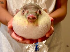 -永安鱼庄·镇江菜(东吴路店)