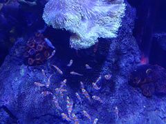 -沈阳海洋探索中心