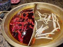 -小龙坎老火锅(工体店)