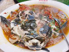 -力力渔港涉外店