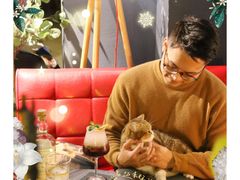 -咖法森林·咖啡  酒吧(天河店)