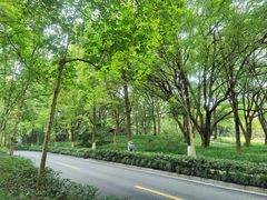 -杭州植物园