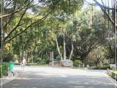 -八仙山公园