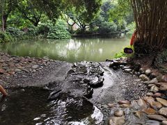 -成都市活水公园