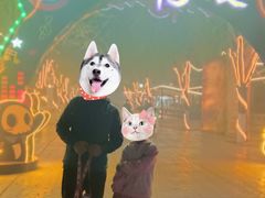 -济南方特东方神画