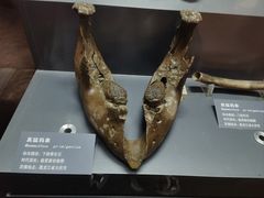 -大庆市博物馆