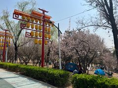 -青龙湖公园