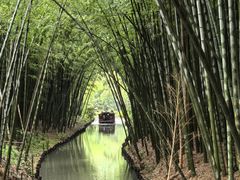 -同里国家湿地公园